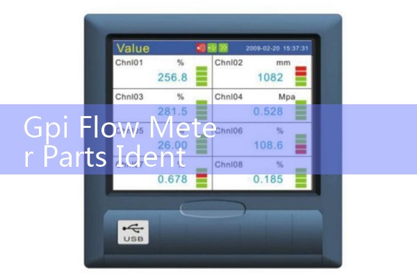 Gpi Flow Meter Parts Identification: Exploded Views of Rotors, Magnetic Pickups, and Enclosures